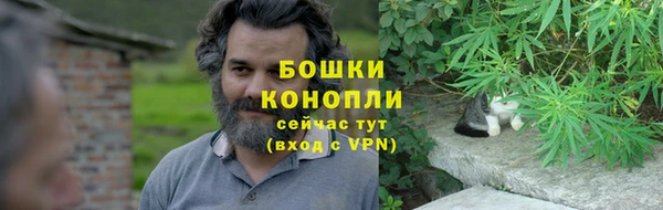 тгк Белокуриха