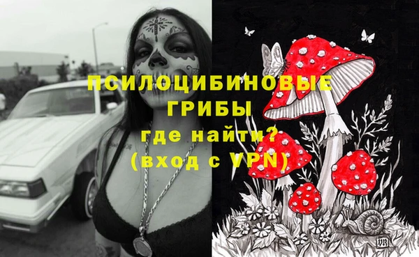 тгк Белокуриха